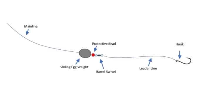 Carolina Rig for Surf Fishing