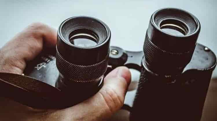10 Best Hunting Binoculars: Reviews & Buying Guide