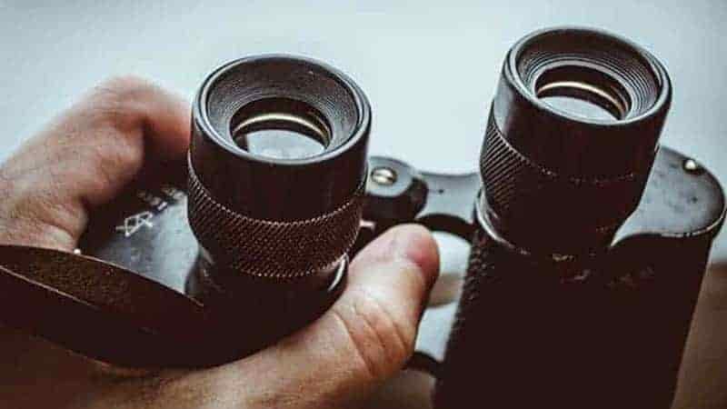 10 Best Hunting Binoculars: Reviews & Buying Guide