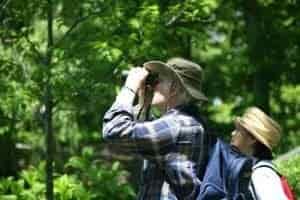 duck hunting man searching with binoculars
