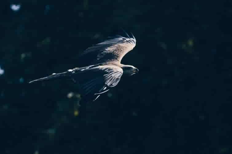photo 1486122676632 ad1b5681fe33