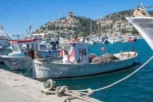 Best Fish Finder