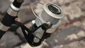 The Best Spinning Reels: Reviewed & Field Tested