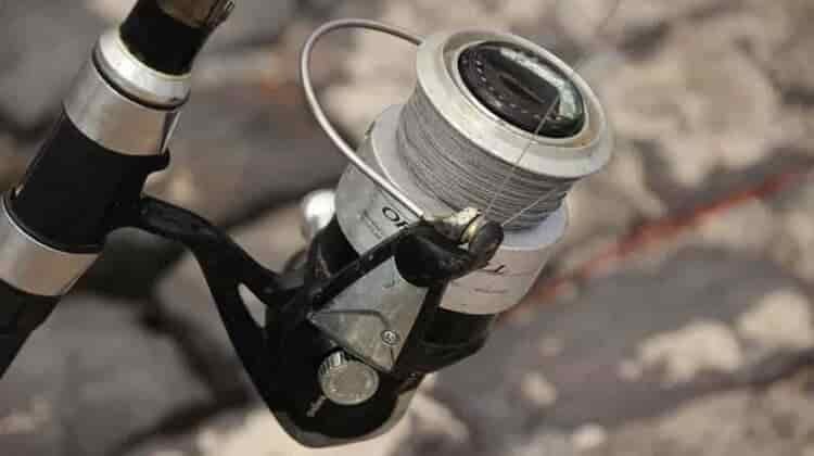 The Best Spinning Reels: Reviewed & Field Tested