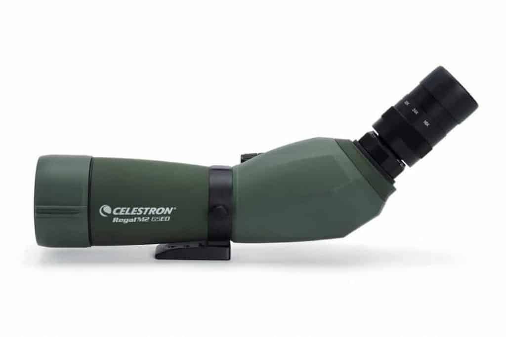 Celestron Regal M2 65ED Spotting Scope Review