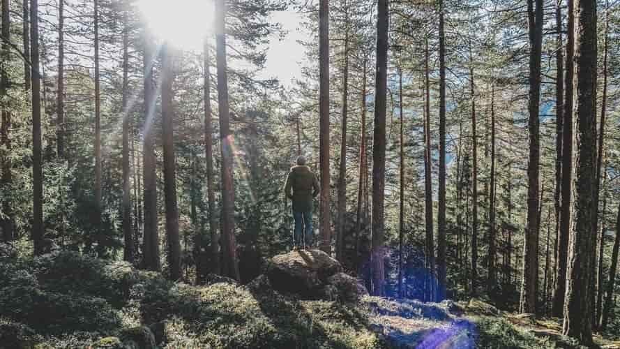 man in wilderness making his next move