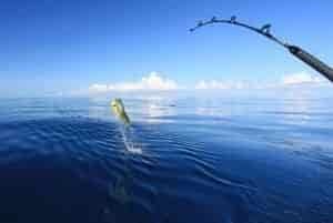 fishing header 1