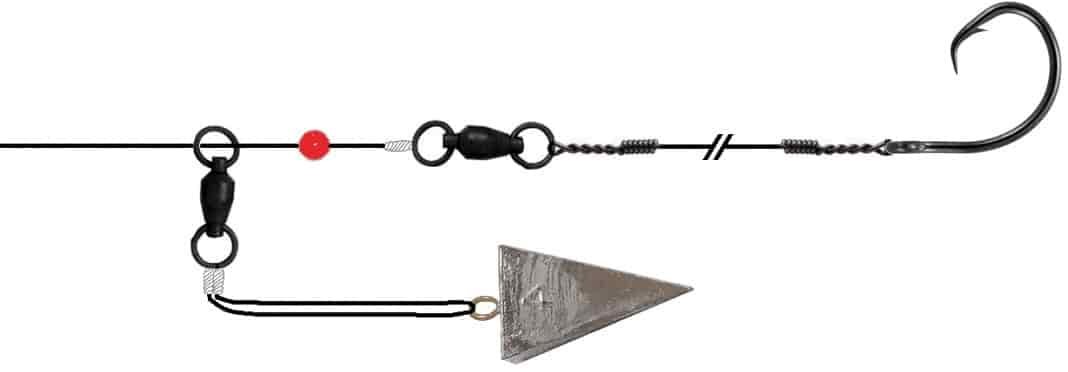 sharkrig8