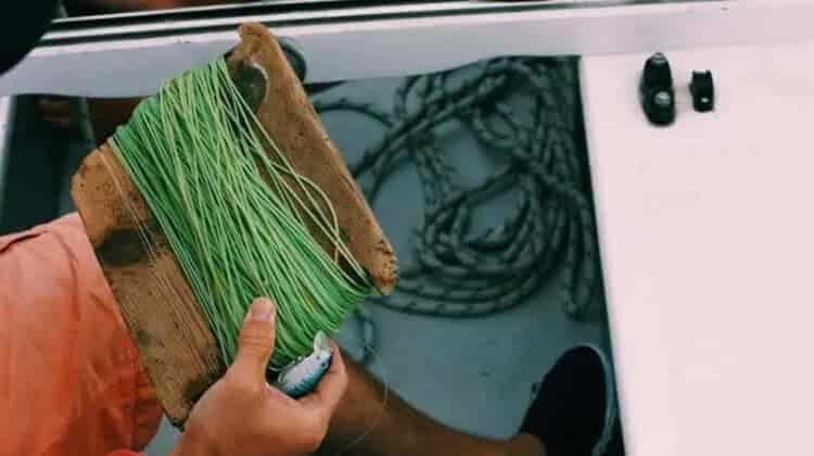 What Is The Strongest Fishing Line?