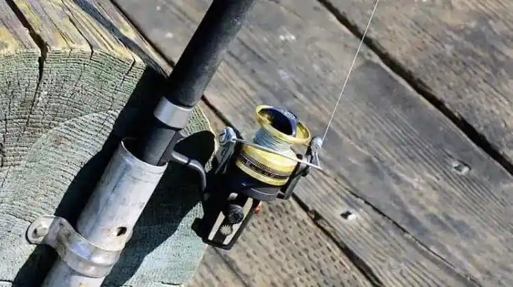 What Are The Different Types of Fishing Lines?