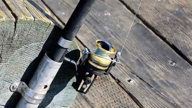 What Are The Different Types of Fishing Lines?