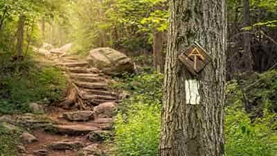 Appalachian Trail marking signs on tree