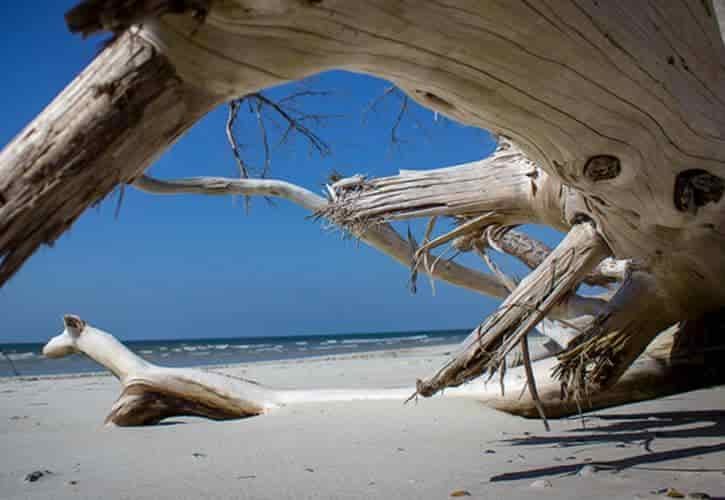 talbot state park florida beach for camping and rving