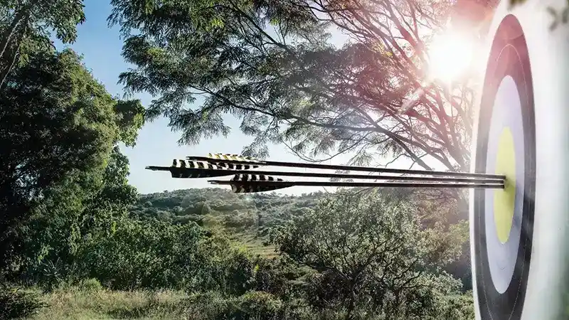 Best Beginner Archery Sets For Adults