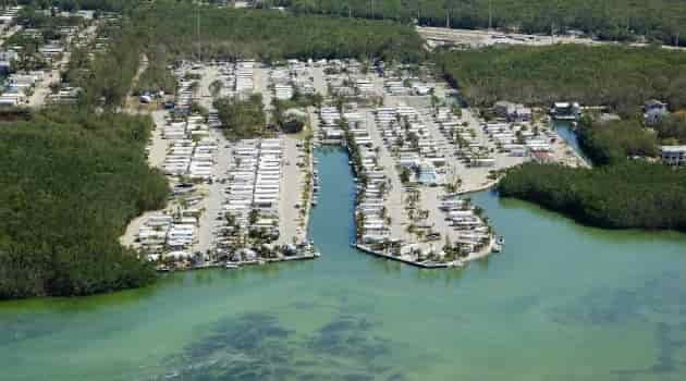 Calusa Campground Resort & Marina key largo florida