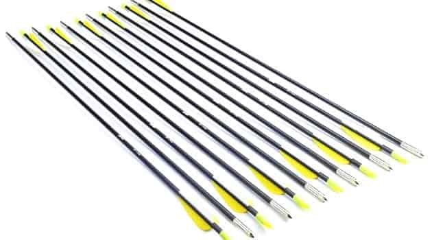 ANTSIR 28-Inch Fiberglass Archery Target Arrows