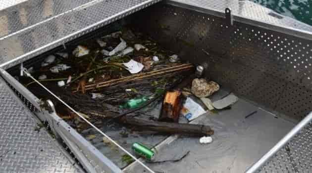 Debris and trash