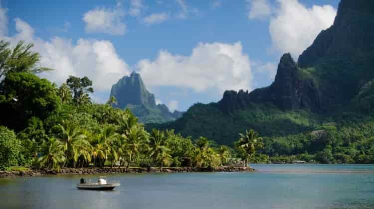 Do You Have To Have A Fishing License In Hawaii?