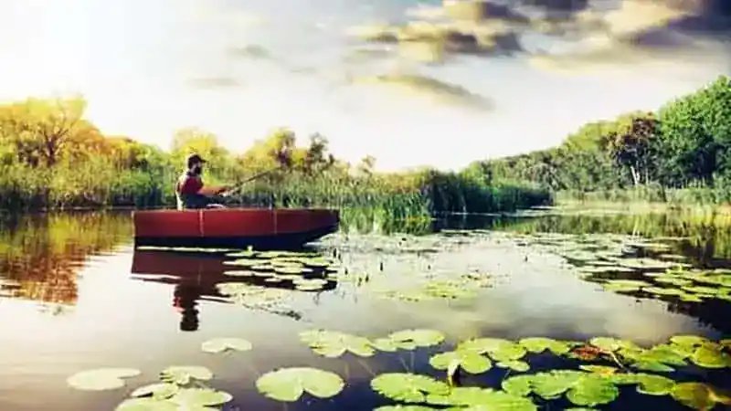Do You Need A Saltwater Fishing License In NY?