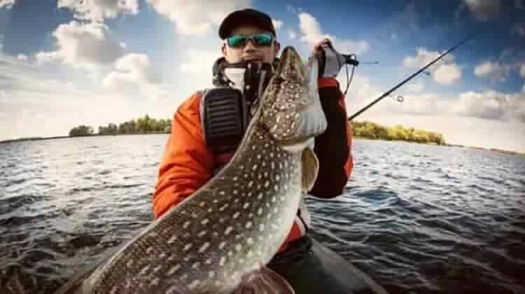Does A PA Fishing License Need To Be Displayed?