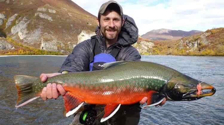 Do You Need A Fishing License In Alaska?