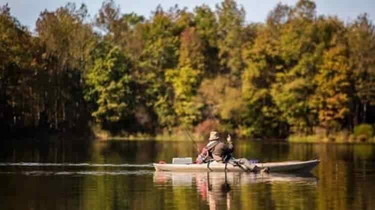 Can You Buy A NJ Fishing License Online?