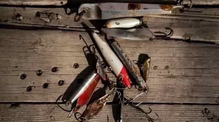 Do I Need A Fishing License In Florida Non Resident?