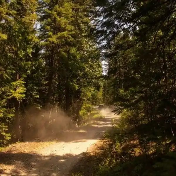 10 of the Quietest UTVs