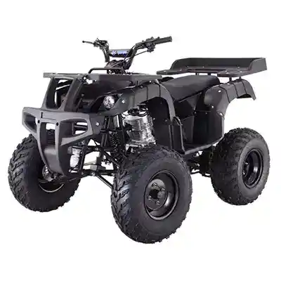 Black 250cc Tao ATV