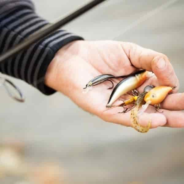 Best Lures For Inshore Saltwater Fishing