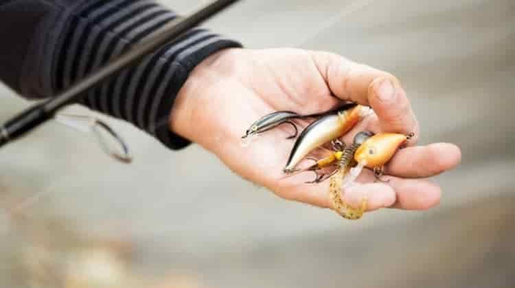 Best Lures For Inshore Saltwater Fishing