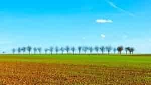 How Big Is 10 Acres of Land?