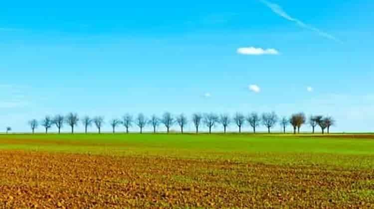 How Big Is 10 Acres of Land?