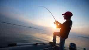 What Is The Best Spinning Reel For Catfishing?