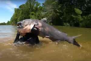 Ultimate Guide to 11 Different Types of Fishing