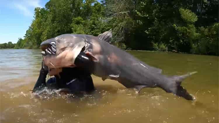 Ultimate Guide to 11 Different Types of Fishing