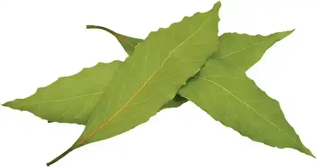 3 Bay Leaves
