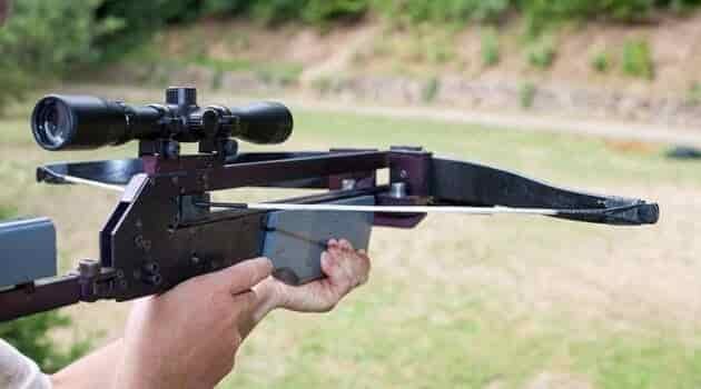 Crossbow Shooting