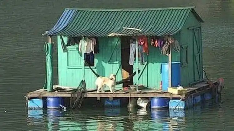 How to Easily Keep Rats Off Your House Boat