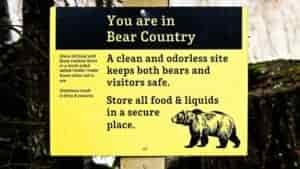 7 Definitive Tips to Keep Bears Away When Camping