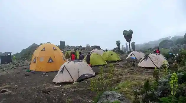 camping above the tree line high altitude