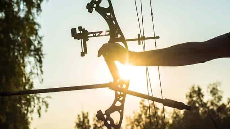 6 Steps for How to Use Compound Archery Bows