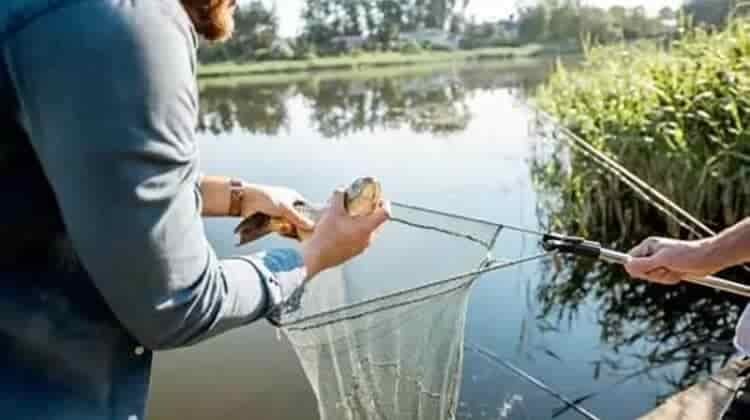 Do Veterans Get Free Fishing License In Georgia?