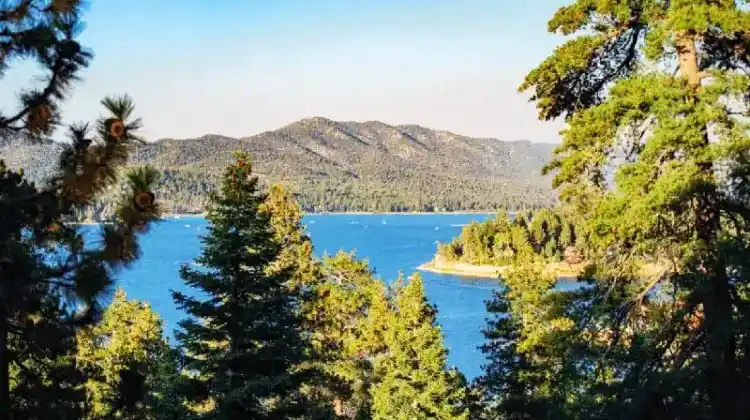 Can You Swim In Big Bear Lake?