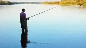 California Fishing Licenses are Easily Available Online 24/7