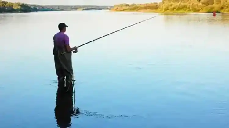 California Fishing Licenses are Easily Available Online 24/7