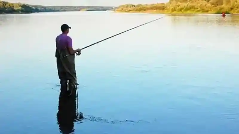 California Fishing Licenses are Easily Available Online 24/7