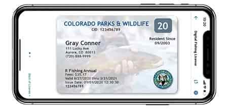 colorado picture of Fishing license