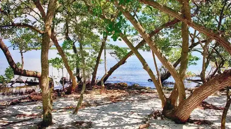 Top 10 RV Parks in Bradenton FL