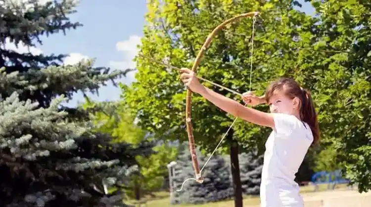 10 Best Youth Bow and Arrows Sets